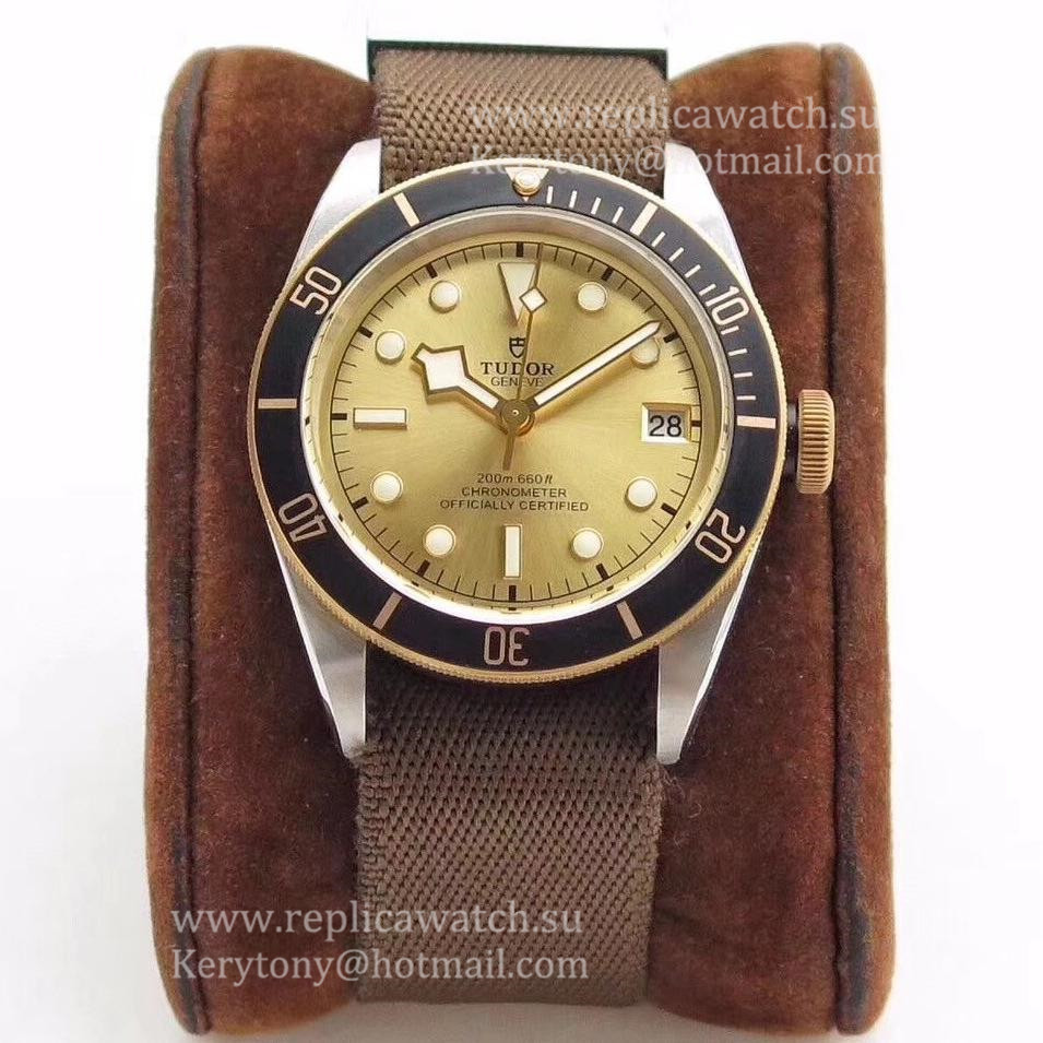 NEW Replica Tudor Heritage Black Bay S&G M79733N-0006 ZF SS Champagne Dial 2824